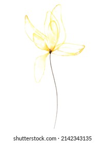 Watercolor Textured Transparent Yellow Flower On White Background.