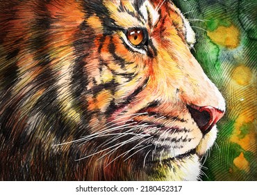 Watercolor Tiger Illustration Ink Color Pencil Sketch. Wild Cat Background Bengal Art