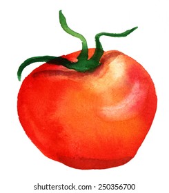 A Watercolor Tomato On White Background