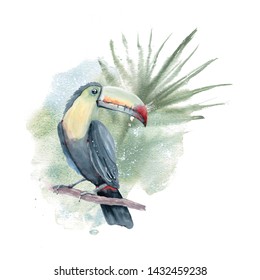 Watercolor toucan card.  Tropical wedding card and invitation.