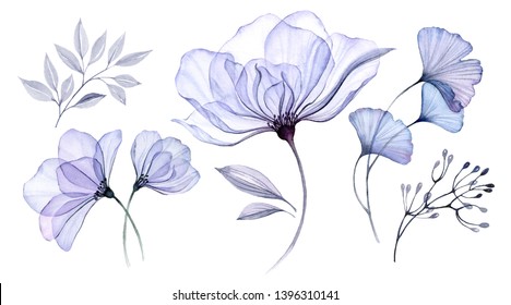Watercolor Transparent floral blue set isolated on white collection of roses, bellflower, buds, leaves, branches bundle in pastel pink, grey, violet, purple, botanical illustration wedding design