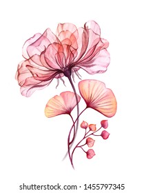 Watercolor Transparent floral rose bouquet isolated on white collection of berries, leaves, branches bundle in pastel pink, orange red coral botanical illustration wedding design elements