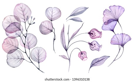 Watercolor Transparent floral set isolated on white collection of roses, bellflower, buds, leaves, branches bundle in pastel pink, grey, violet, purple, botanical illustration wedding design