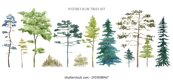 Watercolor tree set. Green pine, blue spruce, lush ash, beige bush 