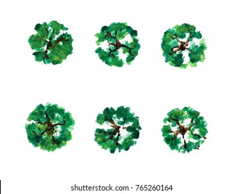 Watercolor trees top view isolated on white background.