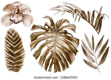 Watercolor Tropical Boho Dried Palm Leaves Floral Clip Art. Exotic Jungle Botanical Print. Vintage Leaf