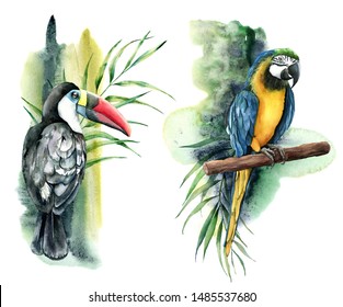 Watercolor Tropical Composition With Tucan And Parrots. Hand Painted Yellow Macaw, Palm And Banana Branch Isolated On White Background. Floral Print With Tropical Bird. For Design, Print, Background