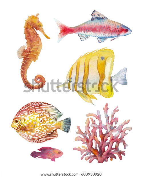水彩の熱帯魚とサンゴセット 白い背景に手描きの珊瑚礁魚と海馬の水中動物イラスト 芸術的な自然コレクション のイラスト素材