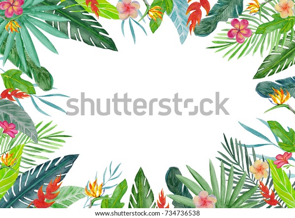 水彩熱帯花柄イラスト 結婚式 記念日 誕生日 カード 日付などの飾り枠 のイラスト素材