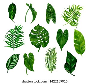 Watercolor tropical floral illustration. Set with green leaves for wedding stationary, greetings, wallpapers, fashion, backgrounds, textures, DIY, wrappers, postcards, logo, etc. - Shutterstock ID 1422139916