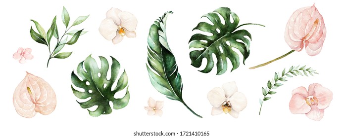 Watercolor Tropical Floral Illustration Set With Green Leaves And Blush Flowers For Wedding Stationary, Greetings, Wallpapers, Fashion, Backgrounds, Textures, DIY, Wrappers, Postcards, Logo, Etc.