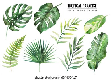 Watercolor tropical floral illustration set with green leaves for wedding stationary, greetings, wallpapers, fashion, backgrounds, textures, DIY, wrappers, postcards, logo, etc.