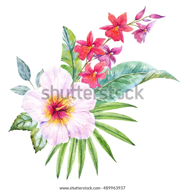 Watercolor Tropical Flower Hibiscus Flower Orchid Stock Illustration ...