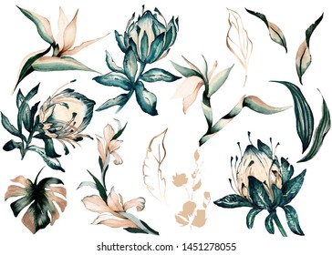 Watercolor Tropical Flower and Leaf Illustration For patterns and decorative products
