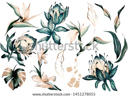 Similar – Image, Stock Photo Winter in spring, tulips in frost