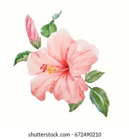 Watercolor Tropical Flower Pink Hibiscus Leaves Stock Illustration ...