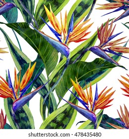 Watercolor tropical flowers, jungle leaves, hawaiian plants, bird of paradise flower. Beautiful seamless floral pattern background, exotic print