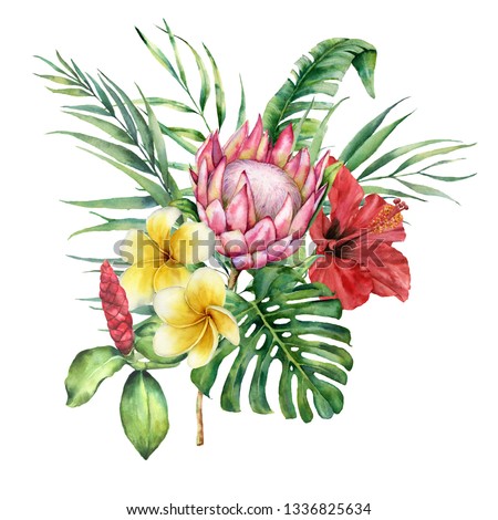 Watercolor tropical flowers and leaves bouquet. Hand painted protea, hibiscus and plumeria isolated on white background. Nature botanical illustration for design, print. Realistic delicate plant