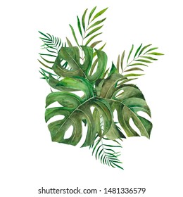 Watercolor Tropical Green Leaves Isolated On Stock Illustration 1481336579