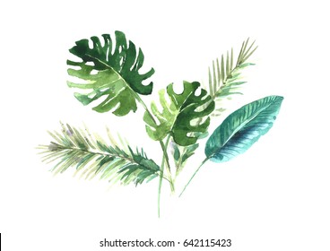 Watercolor Tropical Leaves.