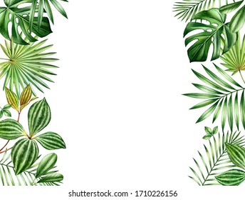 277,902 Tropical border Images, Stock Photos & Vectors | Shutterstock