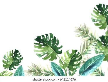 Watercolor Tropical Leaves Frame.