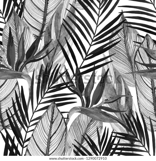 水彩熱帯シームレス模様と極楽鳥花 ヤシの葉は白黒 葉の背景にエキゾチックな花 手描きの自然イラスト のイラスト素材