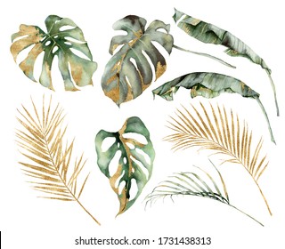 Watercolor tropical set with banana, palm and monstera golden leaves. Hand painted branches and twigs isolated on white background. Floral jungle illustration for design, print or background. - Powered by Shutterstock