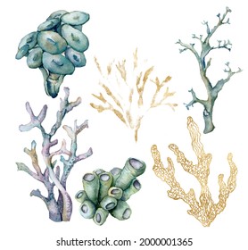 Watercolor tropical set of blue, gold, azure and violet corals . Underwater plant isolated on white background. Aquatic illustration for design, print or background. Trendy nautical collection.