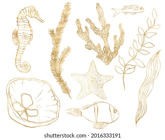 Watercolor tropical set of gold seahorse, shell, fish, coral and laminaria. Underwater linear plants and animals isolated on white background. Aquatic illustration for design, print or background.