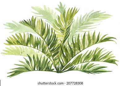 Watercolor tropical and travel palm leaves set isolated and decorative