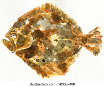 Watercolor Turbot Fish