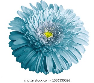 2,057 Watercolor Yellow Gerbera Flowers Images, Stock Photos & Vectors |  Shutterstock