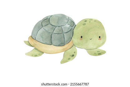 Watercolor Turtle Illustration For Kids