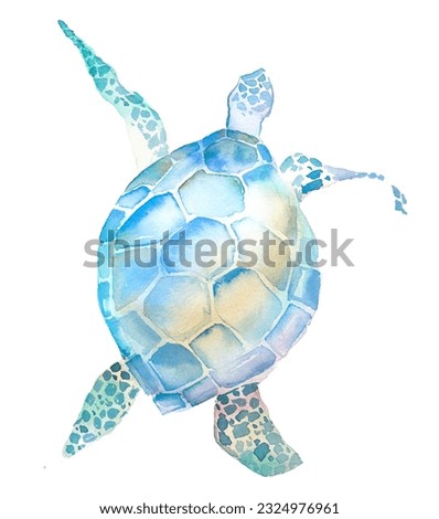 Watercolor turtle illustration. Ocean themed clipart. Under the sea wildlife design.