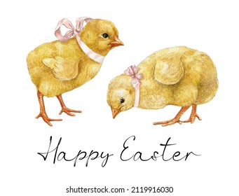 Watercolor Two  Baby Chick, Easter Baby Chicken With Pink Ribbon, Cute Spring Bird, Little Chicks Illustration.