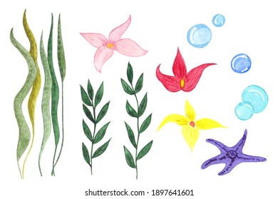 Watercolor Under The Sea Landscape Isolated Objects.