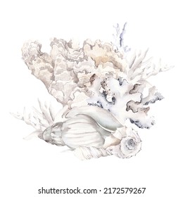 Watercolor Underwater Compositions With Sea Coral. Shell And Flowers, Isolated On White Background