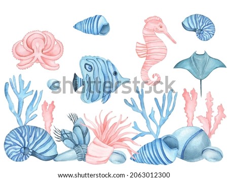 Watercolor Underwater life. Octopus, fish, sea horse, sea shells, algae, corals and stones