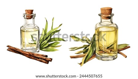 Watercolor vanilla extract. Illustration clipart isolated on white background.