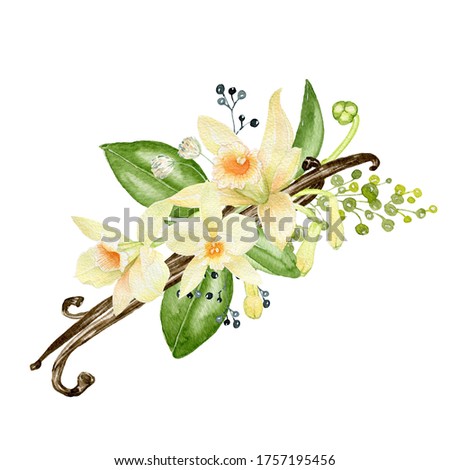 Watercolor vanilla flowers wreath, jpg