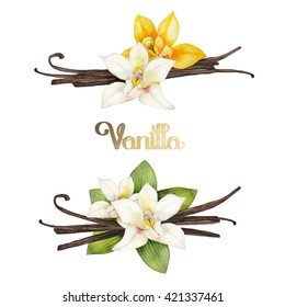 Watercolor vanilla vignettes. Hand painted floral design