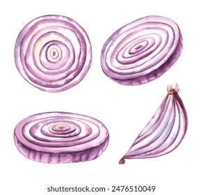 Watercolor vegetable onion, set pieces. Purple onion, slices, hand-drawn vegetable slices for printing and design of packaging, products, chips, fabrics, textiles - Powered by Shutterstock