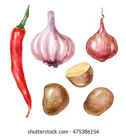 Watercolor vegetables garlic potato onion pepper . Big collection of hand drawn illustrations. Good for book illustration, magazine or journal article.