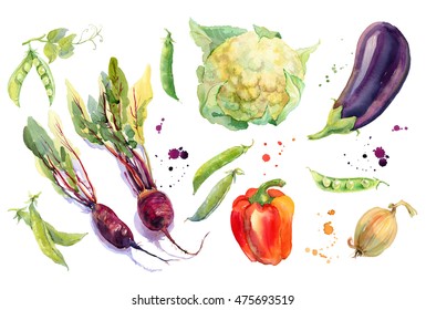 Watercolor vegetables set with cauliflower, eggplant, pepper, peas, beet and onion