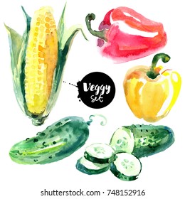 Watercolor Vegetables Set. Painted Isolated Natural Organic Fresh Eco Food Illustration On White Background. Veggies Design Of Cucumber, Corn, Pepper