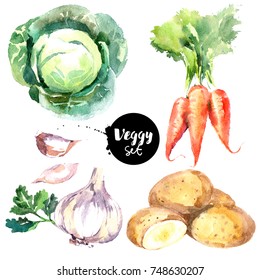 Watercolor Vegetables Set. Painted Isolated Natural Organic Fresh Eco Food Illustration On White Background. Veggies Design Of  Carrots, Cabbage, Garlic, Potatoes