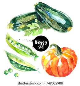 Watercolor Vegetables Set. Painted Isolated Natural Organic Fresh Eco Food Illustration On White Background. Veggies Design Of Zucchini, Pumpkin, Peas
