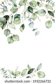 Watercolor vertical border of eucalyptus branches, seeds and leaves. Hand painted card of plants isolated on white background. Floral illustration for design, print, fabric or background.