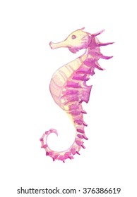 Watercolor vibrant picture of a seahorse